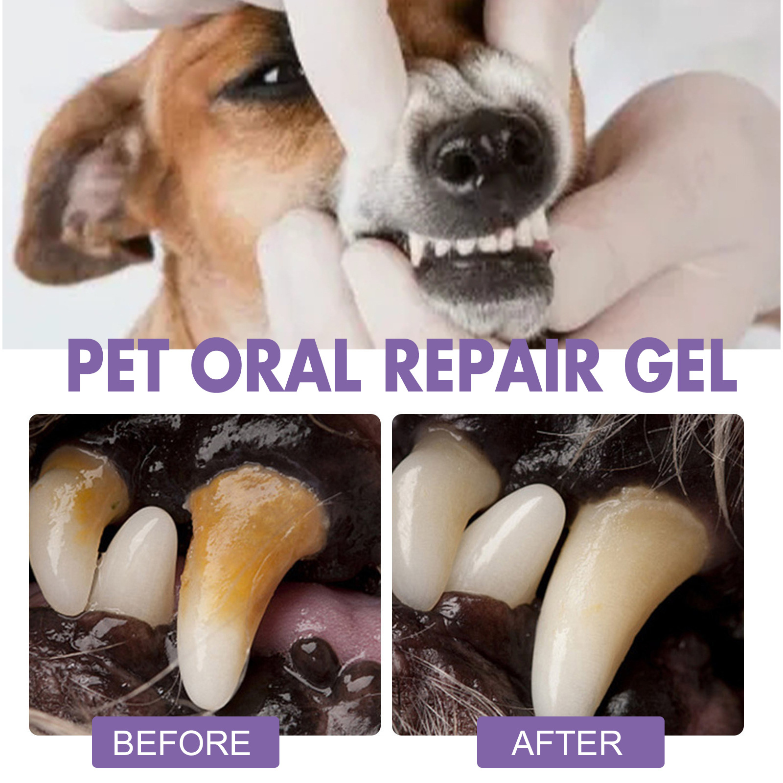Pet Oral Repair Gel Welpen Zah – Teeth Whitening With Peroxide Bewertung und Preis